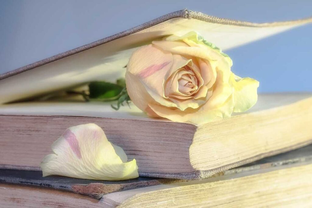 Clássicos ou contemporâneos? O que não pode faltar na biblioteca infantil